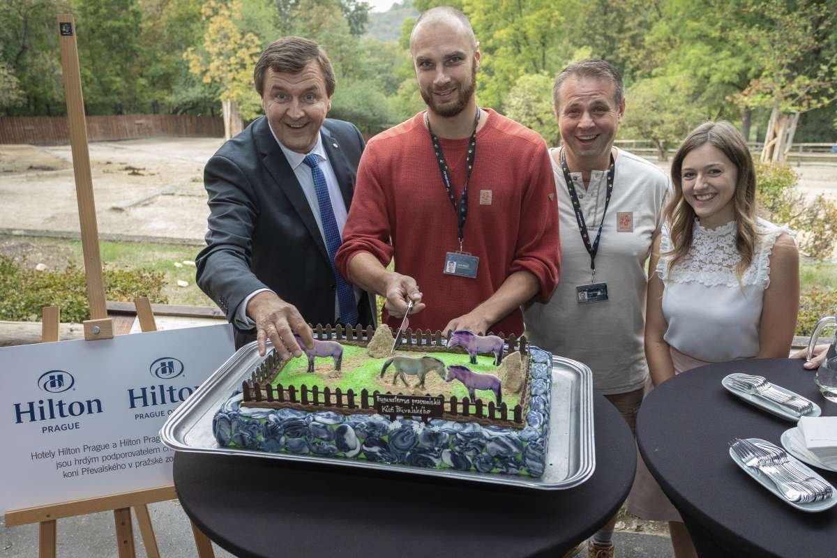 Krajeni dortu_Cake cutting