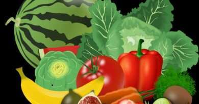 Školní stravování