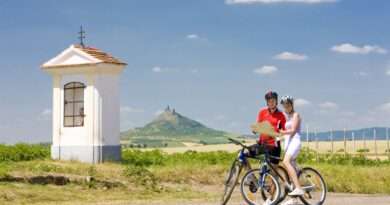 MMR podpoří až 35 projektů